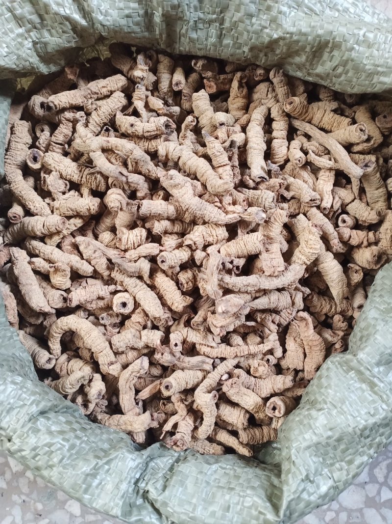 各种规格巴戟天，欢迎新老客户前来洽谈订购
