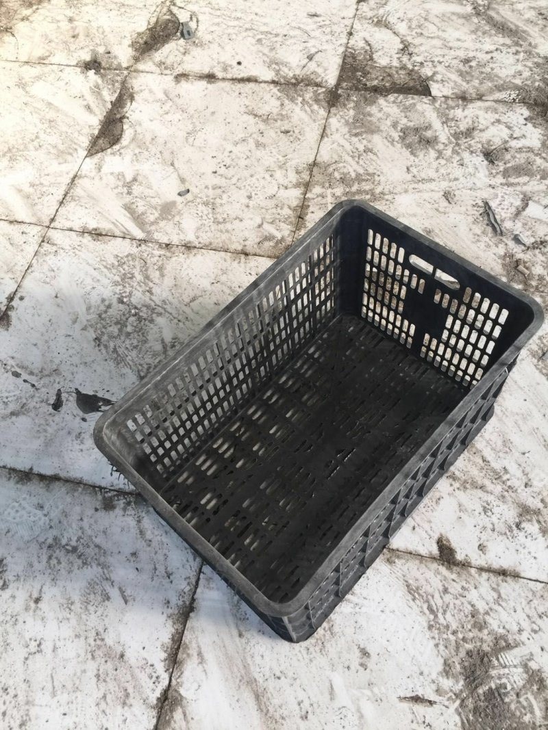 塑料筐