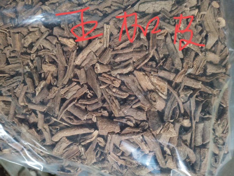 各种规格五加皮，欢迎新老客户前来洽谈订购