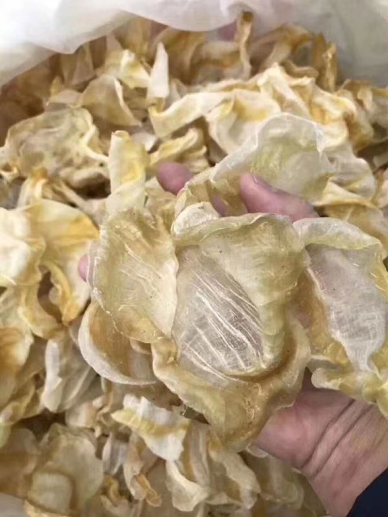 红鱼胶