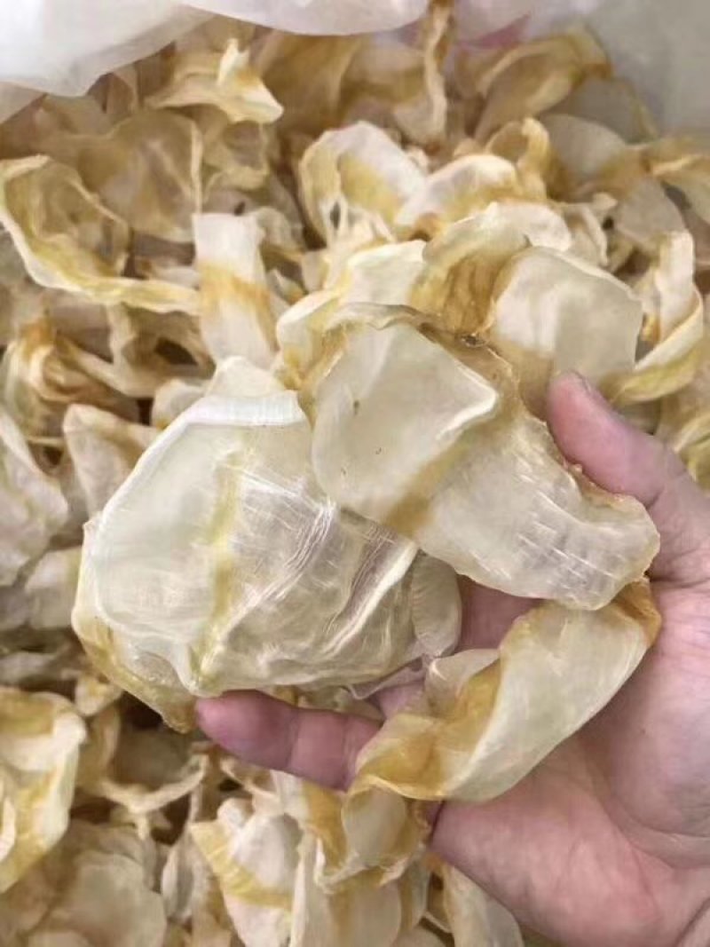 红鱼胶