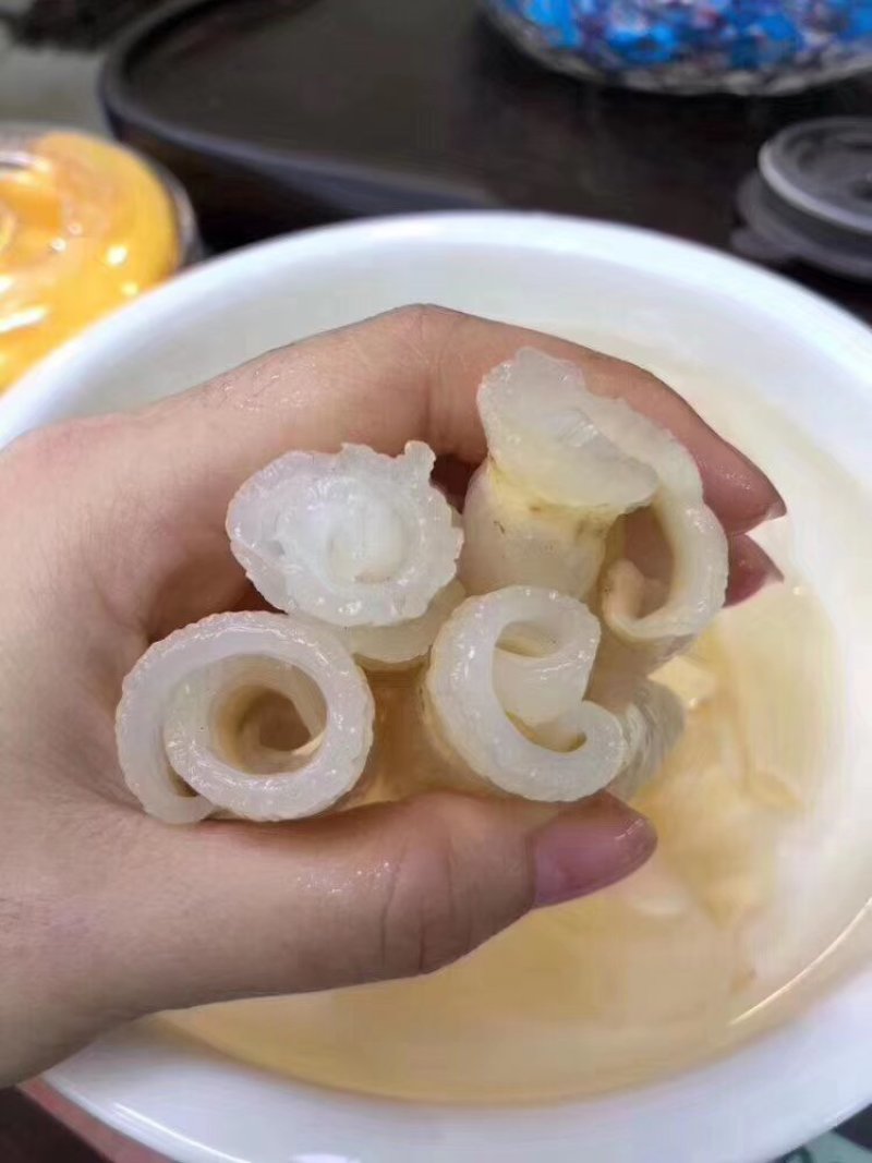 红鱼胶