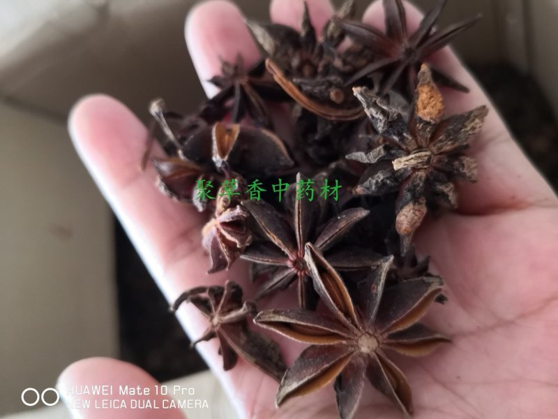 八角大料药食两用一斤起包邮量大从优欢迎选购