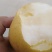 新品头茬丰水梨350～500克纸袋，可供应出口加工