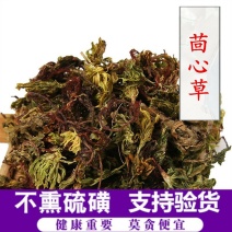 回心草茴心草茴薪草铁脚一把伞供应上千种中药