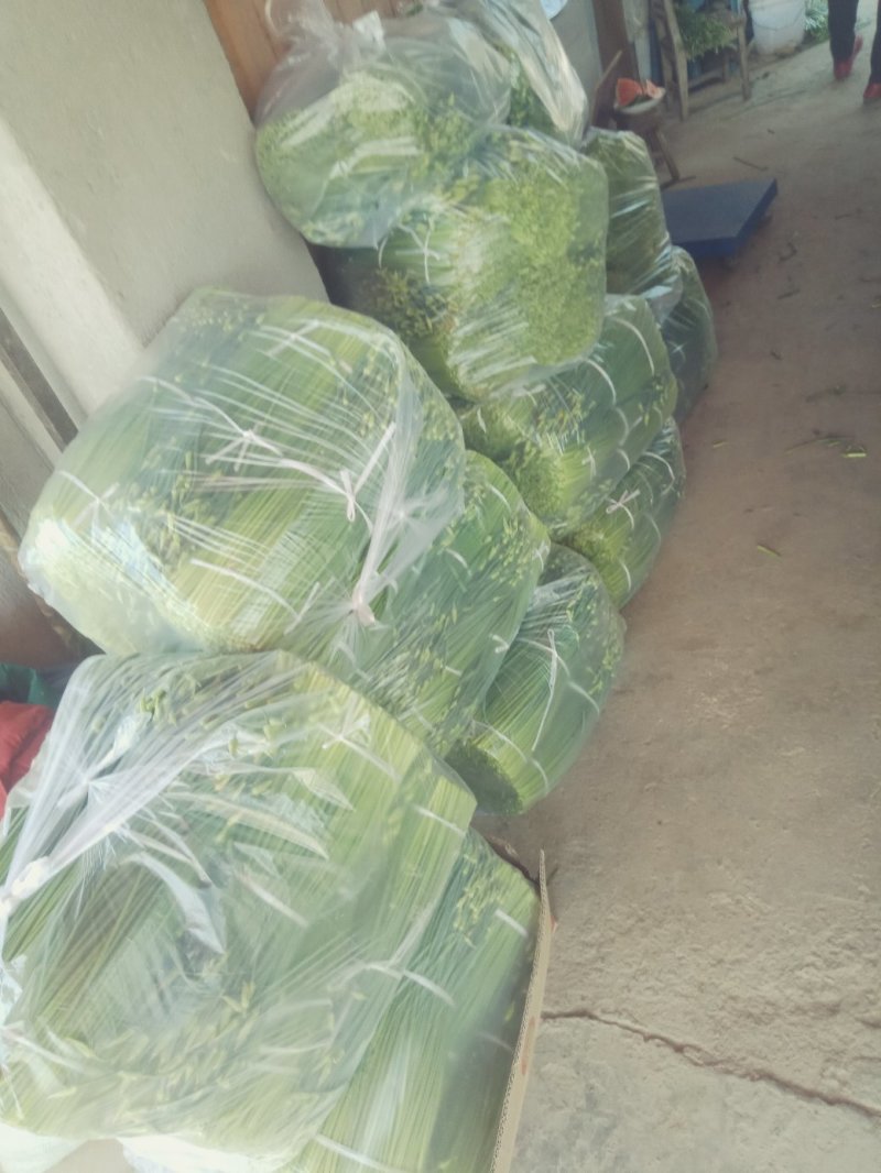 韭苔！用实力说话，靠品质前行！！！