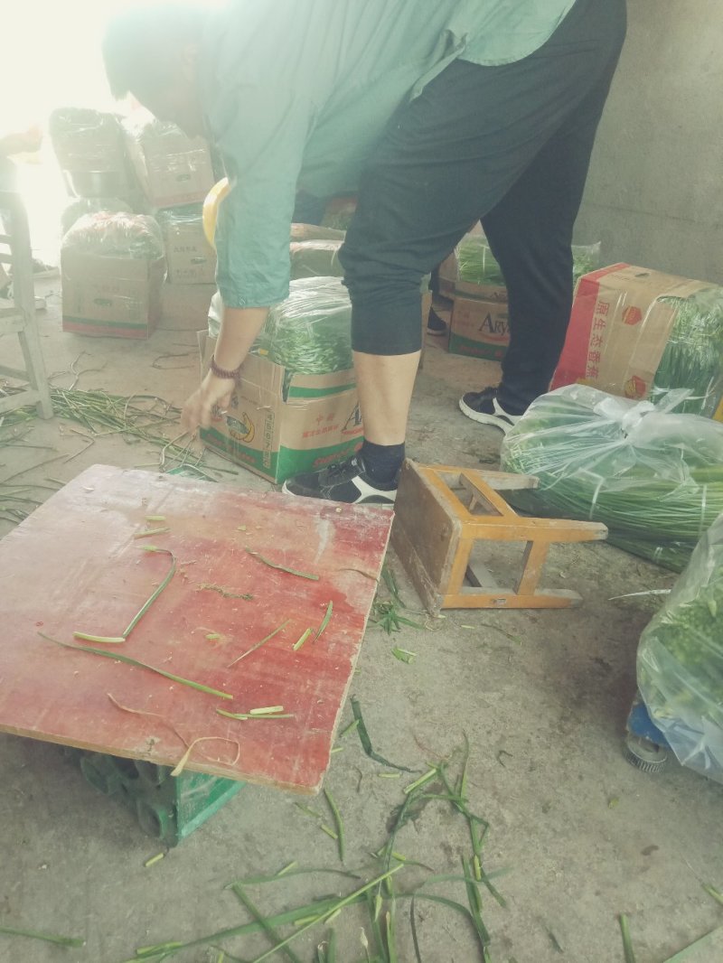 韭苔！用实力说话，靠品质前行！！！