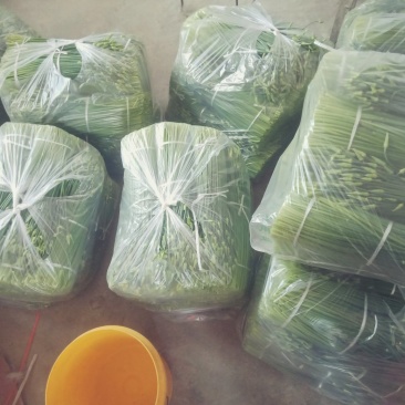 韭苔！用实力说话，靠品质前行！！！