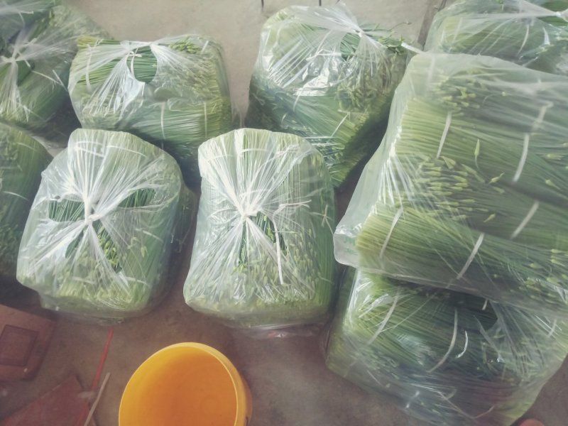 韭苔！用实力说话，靠品质前行！！！