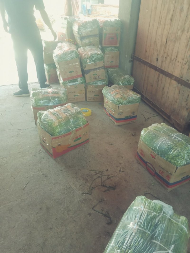 韭苔！用实力说话，靠品质前行！！！