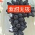 紫甜无核葡萄苗（A17），自然大粒无核糖度高，可切片制干