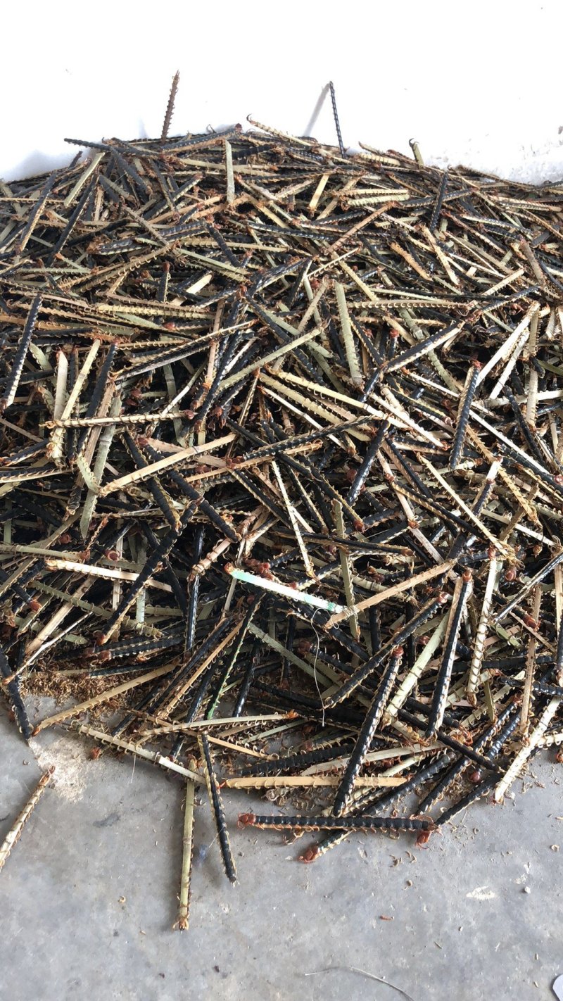 湖北随州红头蜈公药用价值高品质好大中小都有货