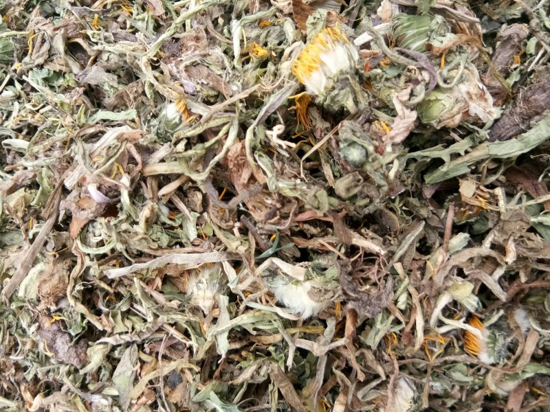 蒲公英山西野生人工挑选干净无杂一公斤起发货