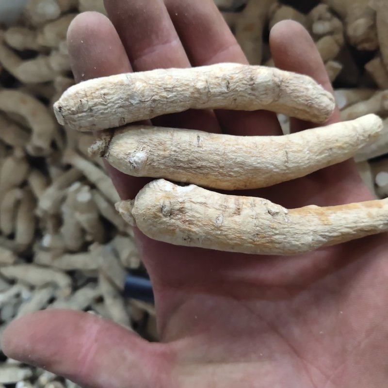 西洋参8/10克左右新货促销活动关书药业