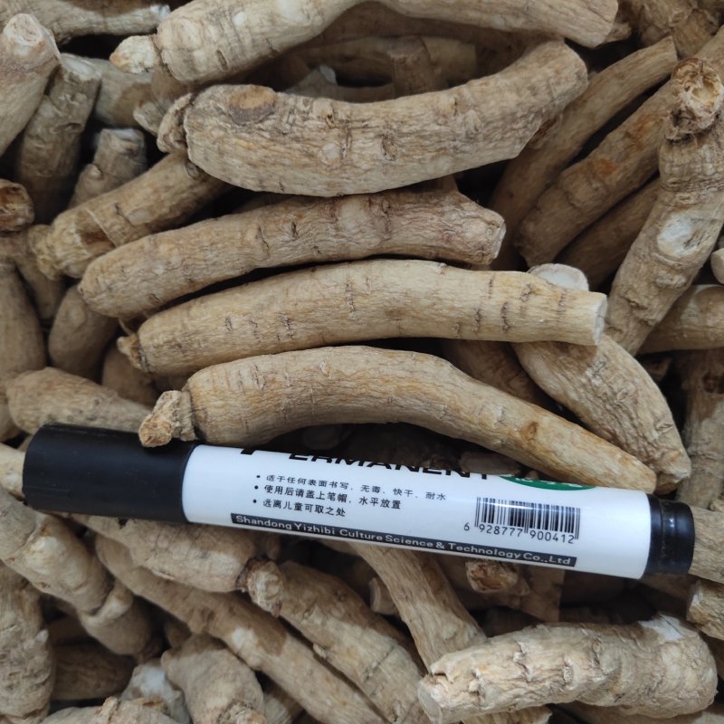 西洋参8/10克左右新货促销活动关书药业