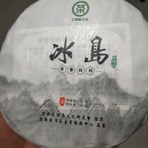 普洱茶，冰岛，2018年明前春茶