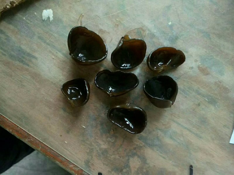 【优选】木耳电商专用泡发1比12--15斤酥干园边不打水