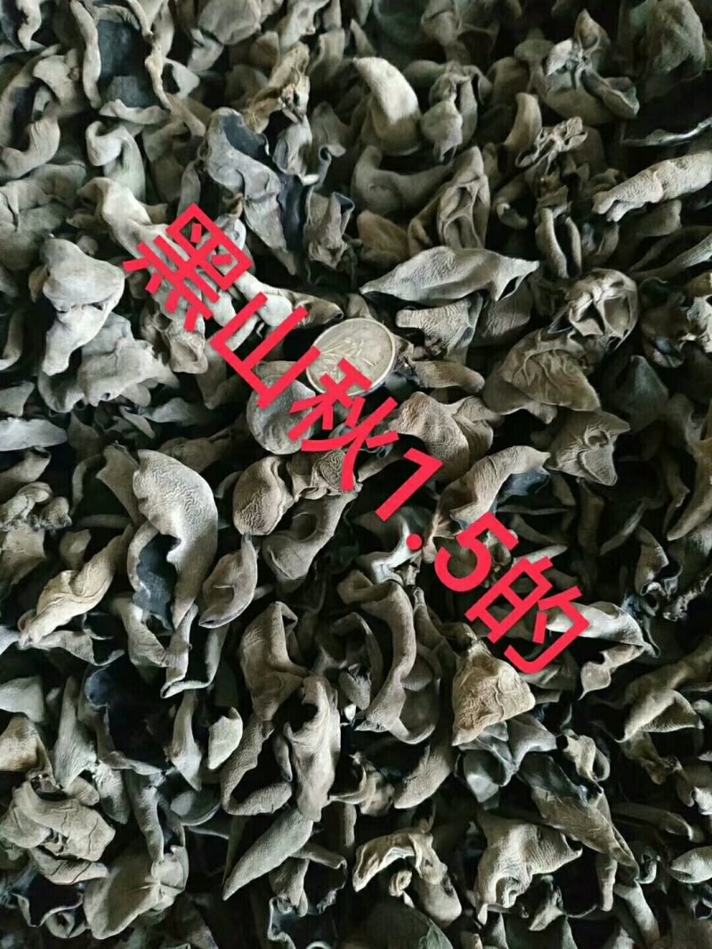 【优选】木耳电商专用泡发1比12--15斤酥干园边不打水