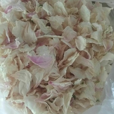 牡丹花茶