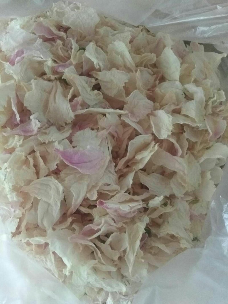 牡丹花茶