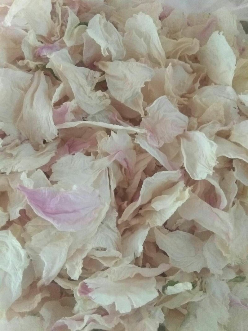 牡丹花茶