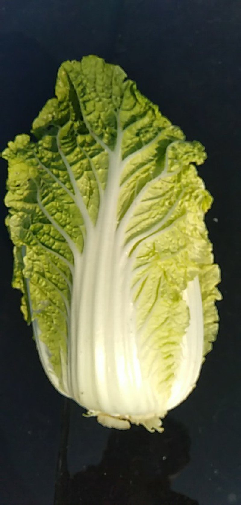 春白菜上市中一条龙服务
