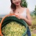 特级金银花批发