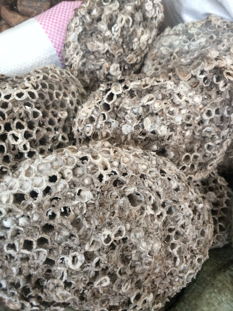 蜂房家峰房批发各种规格中药材