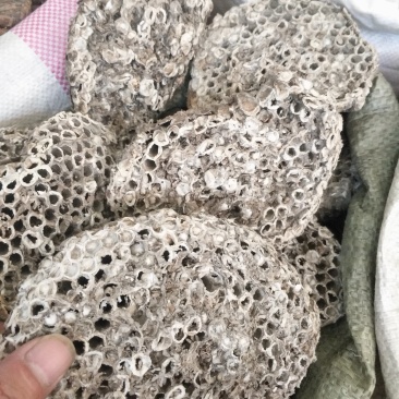 蜂房家峰房批发各种规格中药材