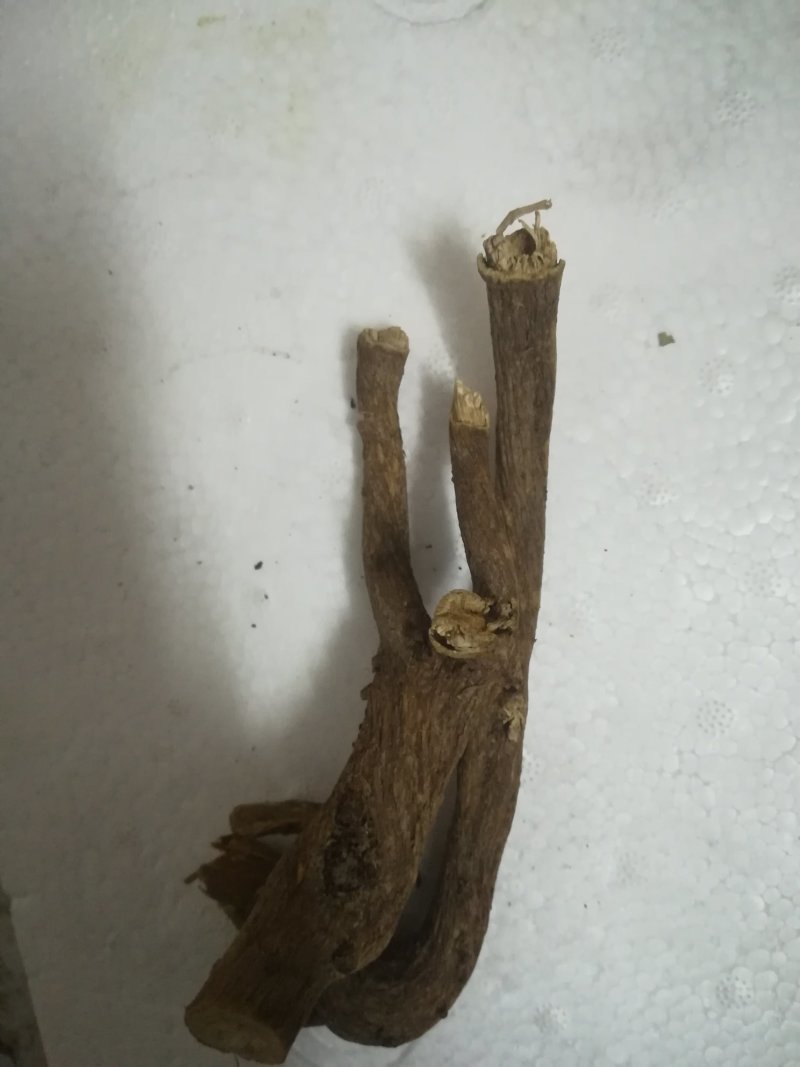 博落回根全根晒干落回根有皮的干根中药材
