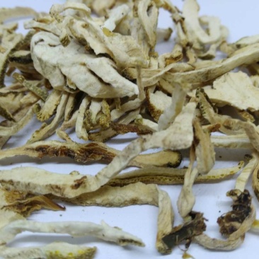 香橼片香缘丝枸橼钩缘干香圆供应上千种中药材