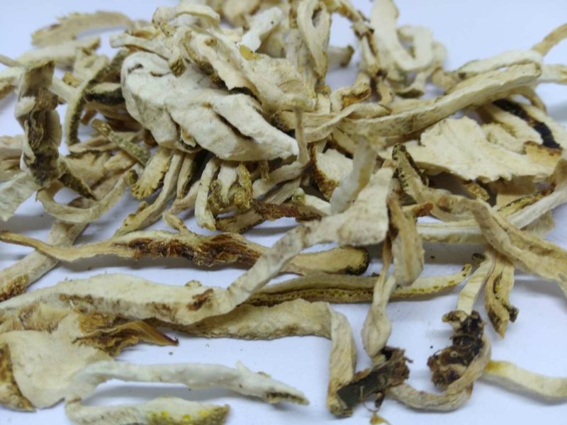香橼片香缘丝枸橼钩缘干香圆供应上千种中药材