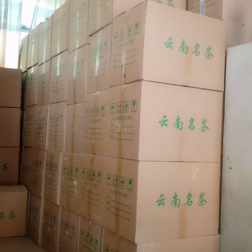 普洱茶