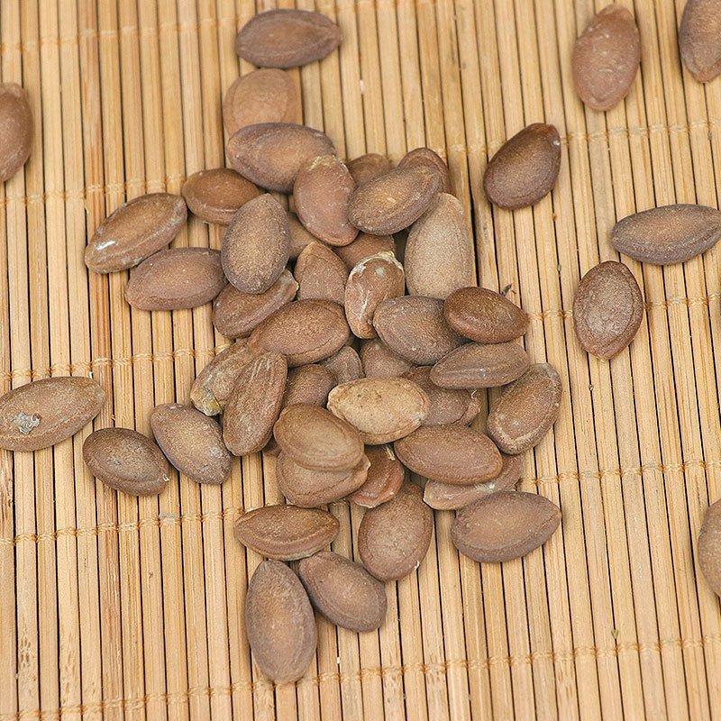 瓜蒌仁瓜蒌子供应上千种中药材