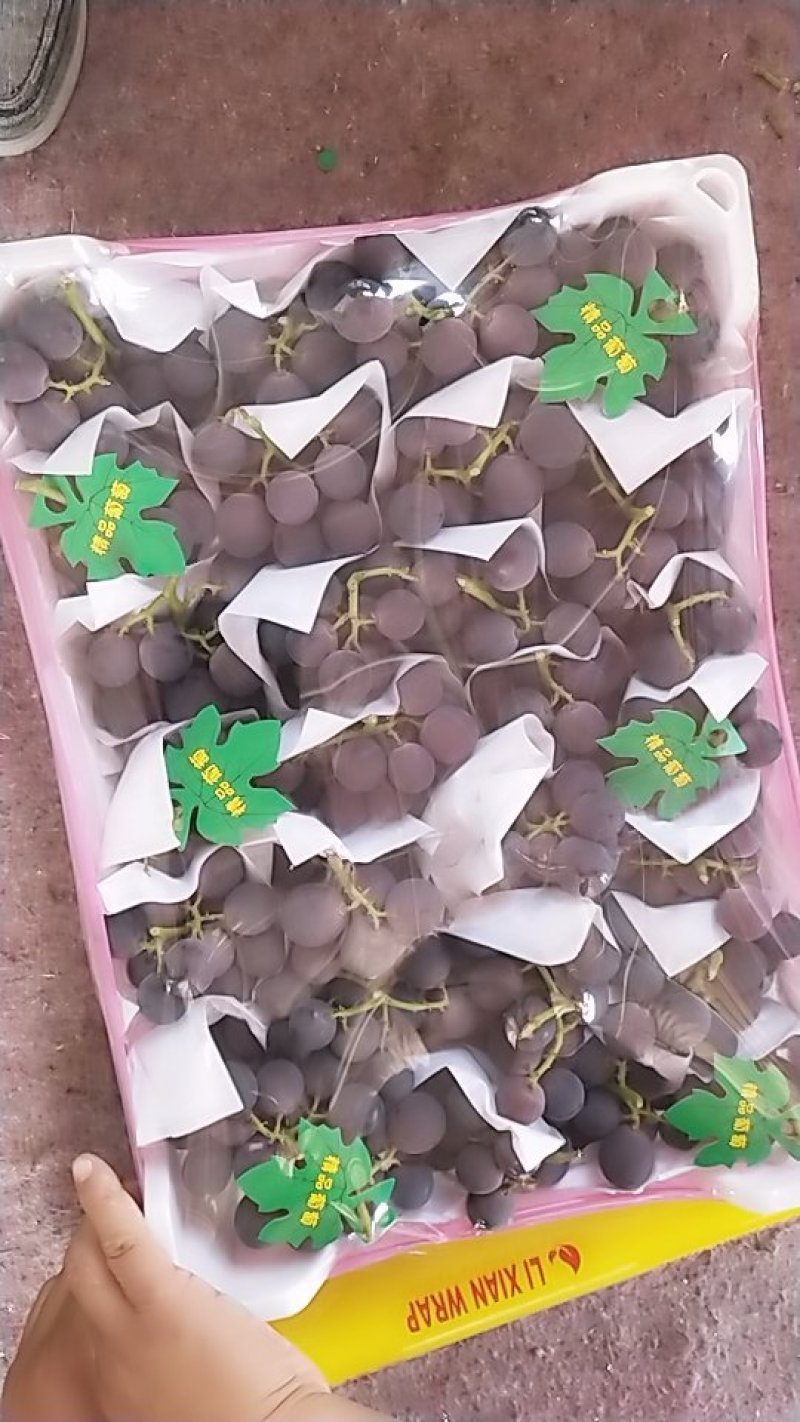 精品葡萄大量上市了。
