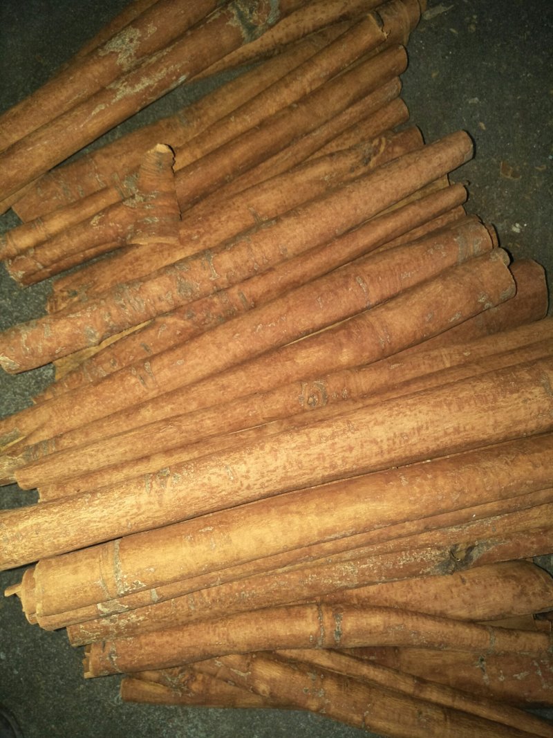 桂皮刮皮大通
