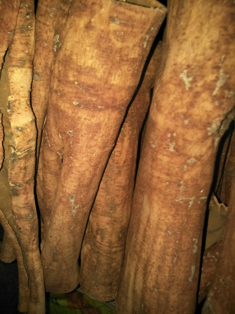 桂皮刮皮大通