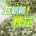 一级脱水槐花，野生无硫熏，泡发率10倍，天然晾晒，体积大