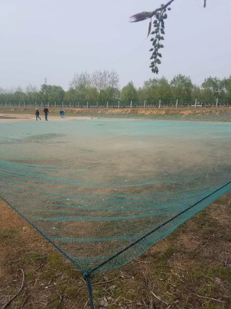 养渔网箱泥鳅网箱渔苗网箱厂家现货！一手货源欢迎咨询采购