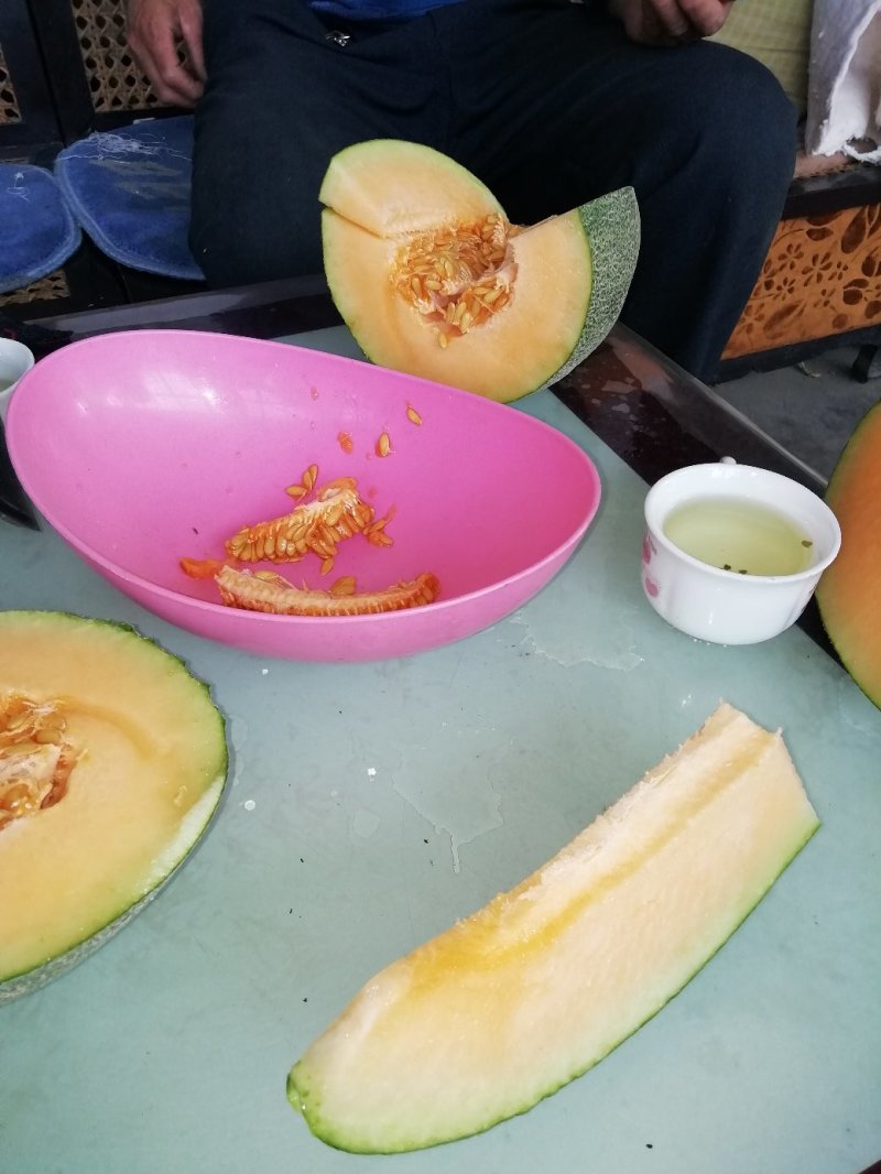 哈密瓜。山东省青州人付增久欢迎你
