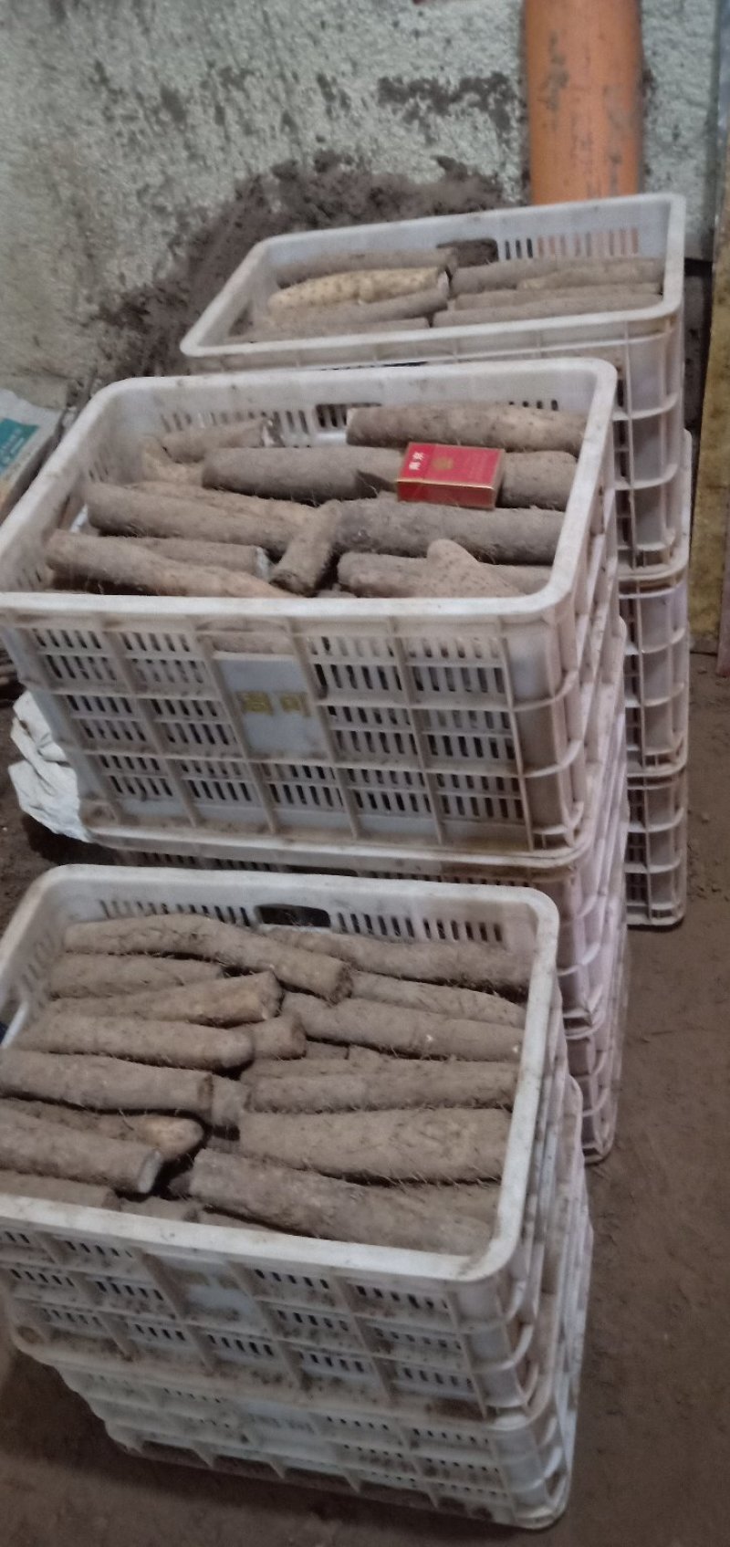 【热销中】白玉山药断咕噜便宜大量有货，价格优惠