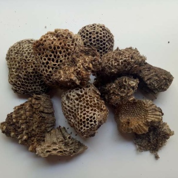 蜂房马蜂窝供应上千种中药材