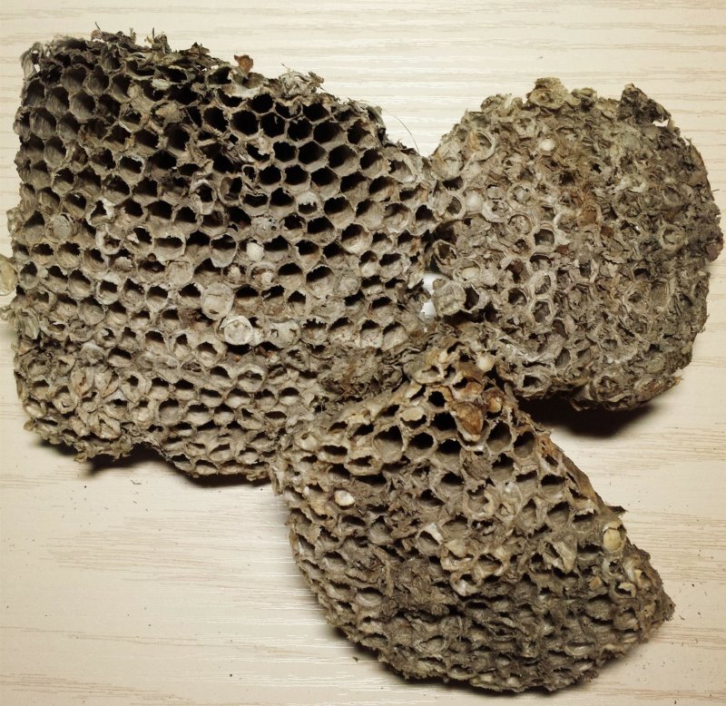 蜂房马蜂窝供应上千种中药材