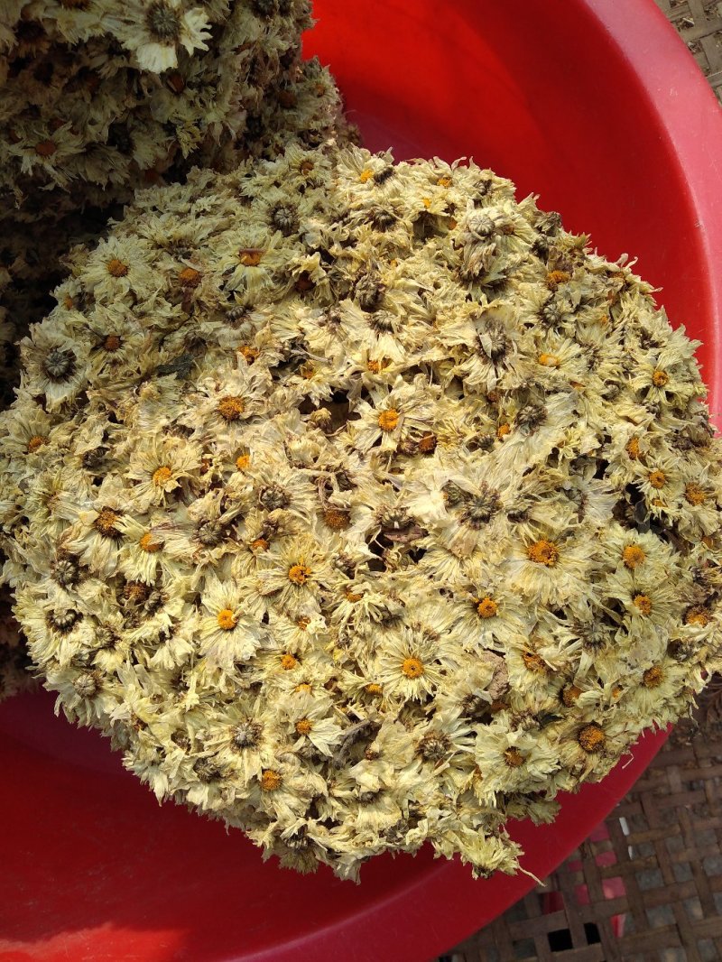 【饼菊】福白菊麻城福田河镇出产地药用菊花饼菊
