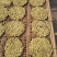 【饼菊】福白菊麻城福田河镇出产地药用菊花饼菊