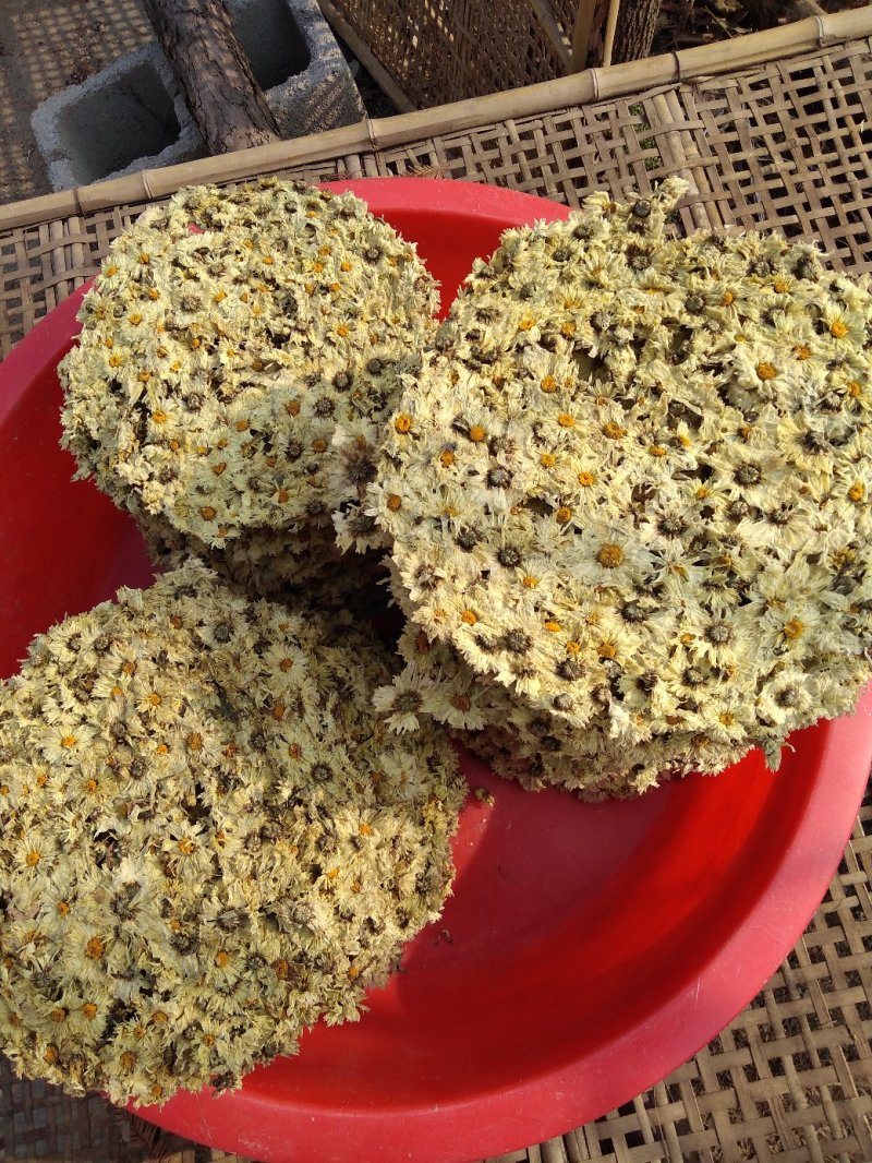 【饼菊】福白菊麻城福田河镇出产地药用菊花饼菊