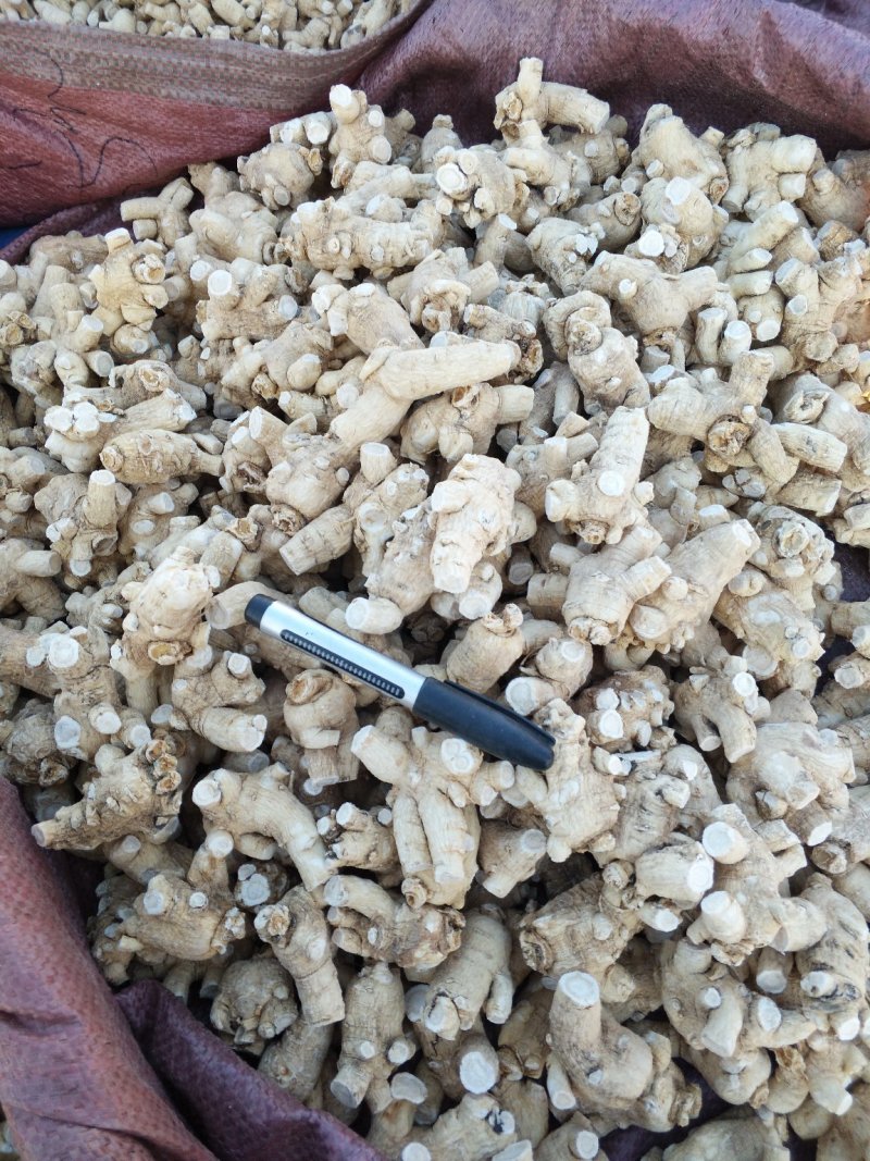 长白山六年参龄，无磺软西洋参粒头7-9克，各种规格，