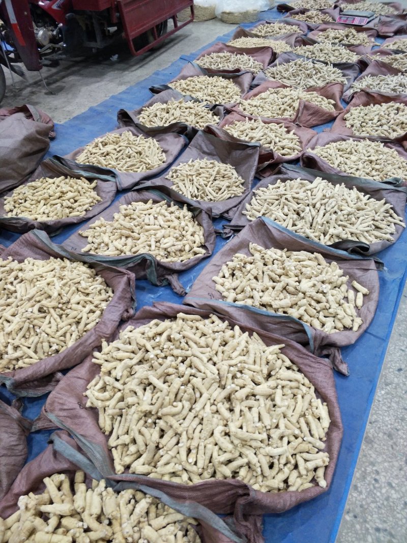 长白山六年参龄，无磺软西洋参粒头7-9克，各种规格，