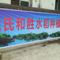 汉中大米，城固鑫星米业