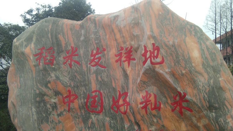 汉中大米，城固鑫星米业